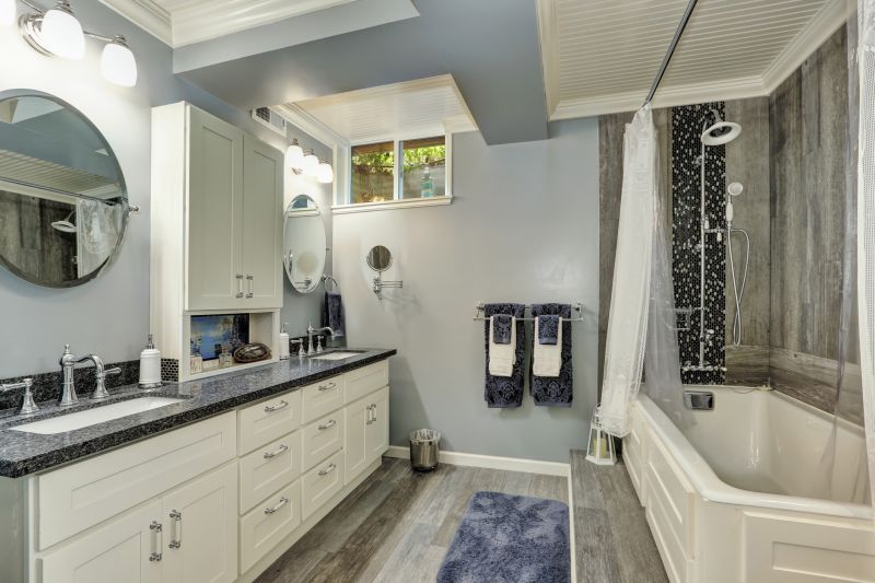 Top Bathroom Remodeling Companies in Des Plaines, IL